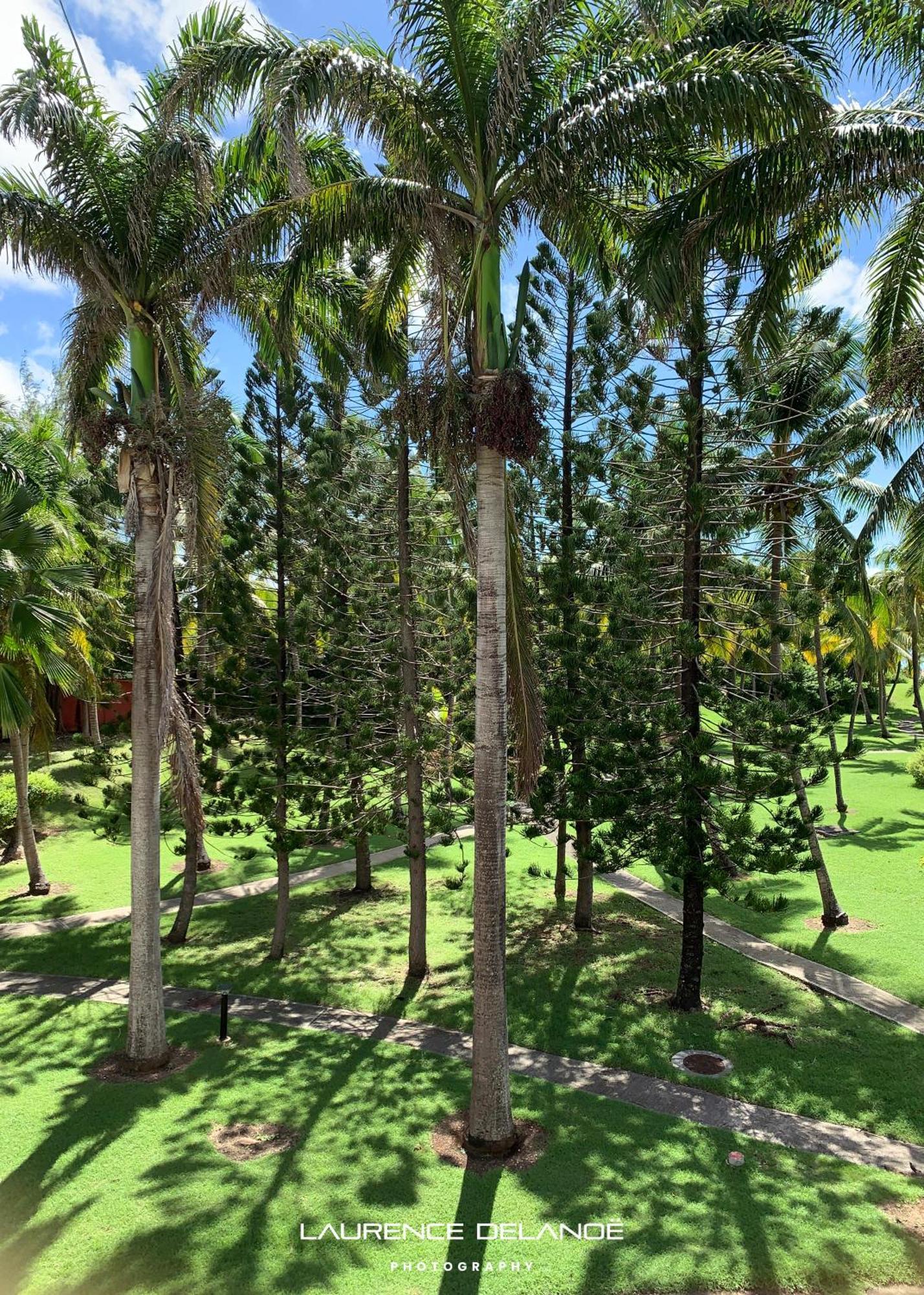 Appartement Varangue, Anse Des Rochers Saint-Francois  Kültér fotó